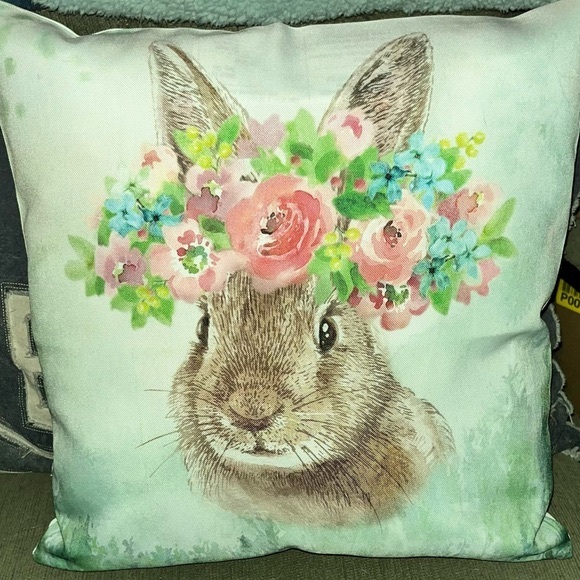 Other - Beautiful Bunny pillow cover AND insert!
